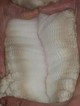 alpaca for sale