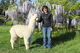 alpaca for sale