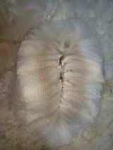 alpaca for sale