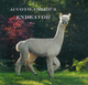 alpaca for sale