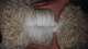 alpaca for sale