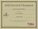 alpaca for sale