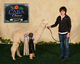 alpaca for sale