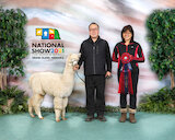 alpaca for sale