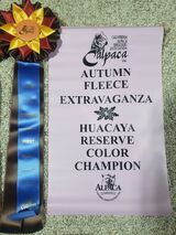alpaca for sale