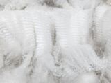 alpaca for sale