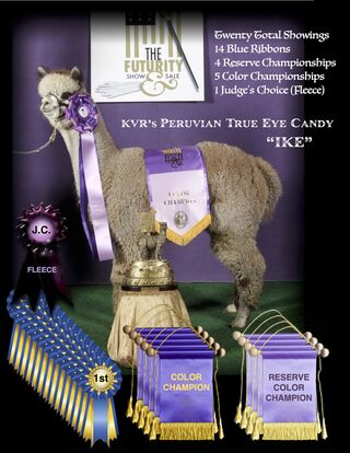 Photo of KVR's PERUVIAN TRUE EYE CANDY ~