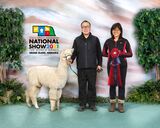 alpaca for sale