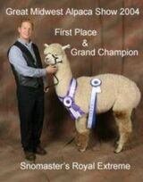 alpaca for sale