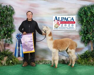 Sunny Accoyo Tulalip
