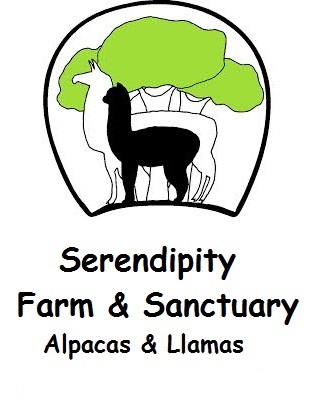 Serendipity Farm & Sanctuary, Alpacas & Llamas