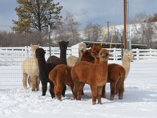 Photo of Fiber Boys