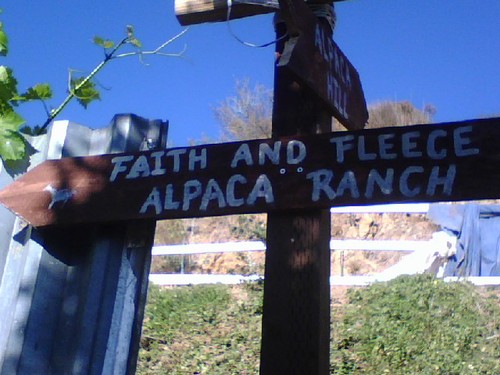 Faith & Fleece Alpacas
