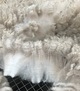 alpaca for sale