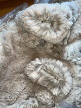 alpaca for sale