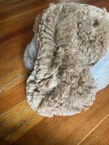 alpaca for sale