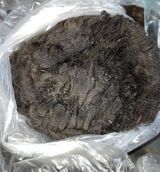 alpaca for sale
