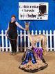 alpaca for sale