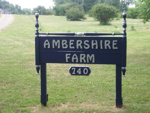Ambershire Farm