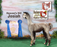 Photo of Heaven's Hill Josiah