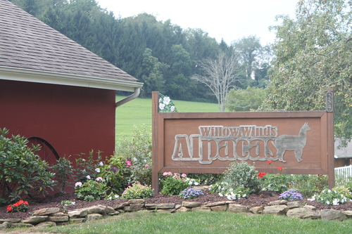 Willow Winds Alpacas
