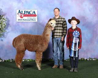 Photo of Thor Farms Brida