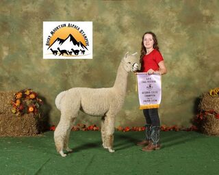 Photo of Irish Meadows' Desiree