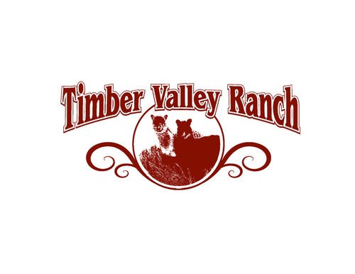 Timber Valley Treasures