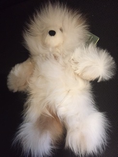 Photo of Teddy Bears (Various Colors/Styles)