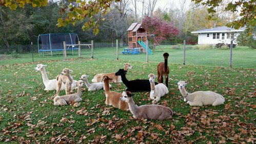 Circle W Farms