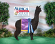 alpaca for sale