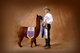 alpaca for sale