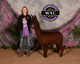 alpaca for sale