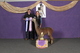 alpaca for sale