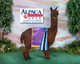 alpaca for sale