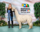 alpaca for sale