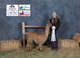 alpaca for sale