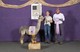 alpaca for sale
