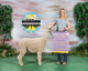 alpaca for sale