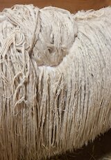 alpaca for sale