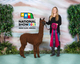 alpaca for sale