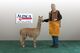 alpaca for sale