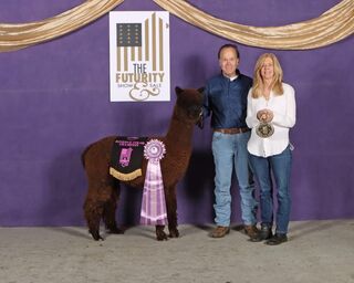 Photo of Sugarland's Black Label