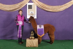 Photo of PRTI Tribute's Cataleya