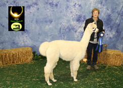 Photo of Xanadu P Esprit