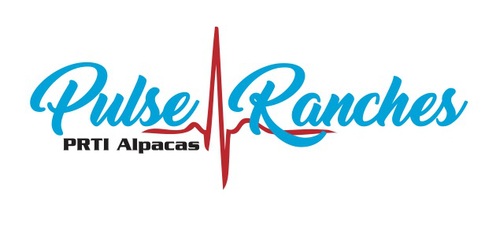 Pulse Ranches Texas
