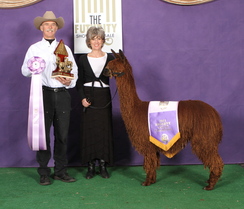 Photo of GLR Picasso