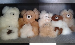 Photo of Teddy Bear 12