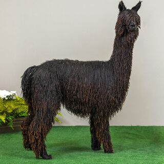 Photo of ANDACAL'S MAJESTYK
