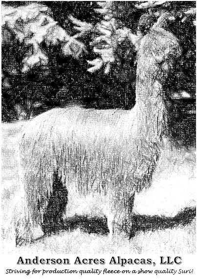 Anderson Acres Alpacas, LLC